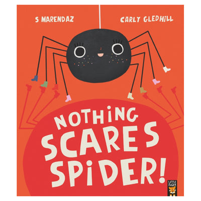 Nothing Scares Spiders
