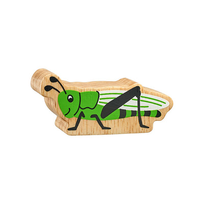 Lanka Kade green grasshopper